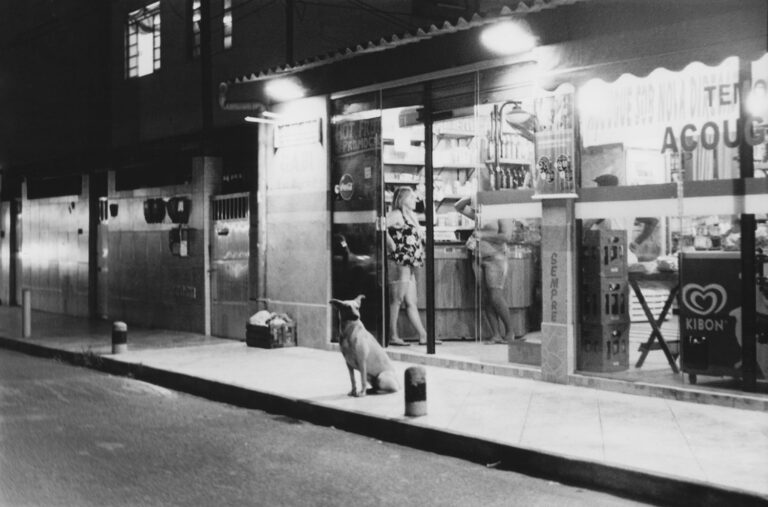 Sorties et concours photo argentiques : pratiquer et partager la photographie